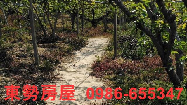 台中東勢農地-10