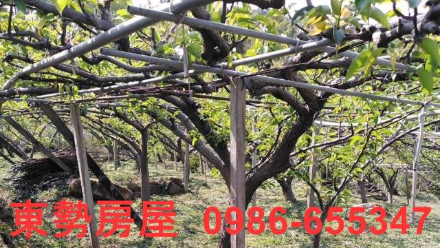 台中東勢農地-3