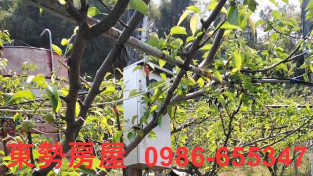 台中東勢農地-5