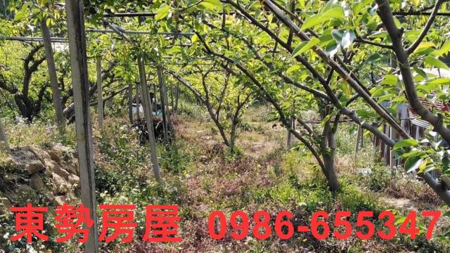 台中東勢農地-7