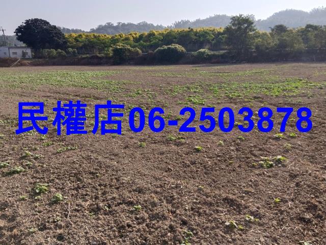 台南六甲農地-5