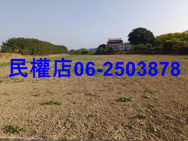 六甲農地-9
