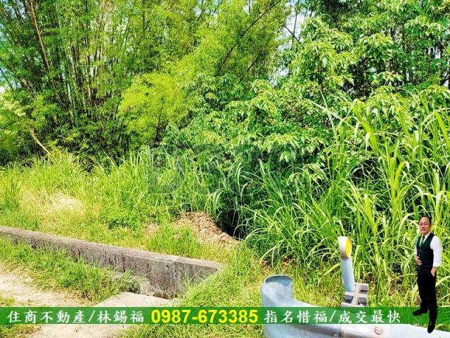 台南南化農地-8