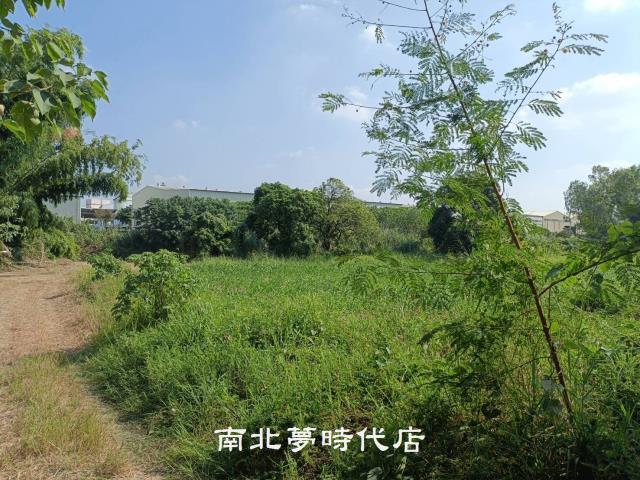 善化農地-1