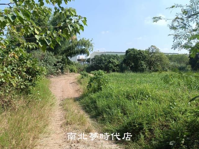 善化農地-2