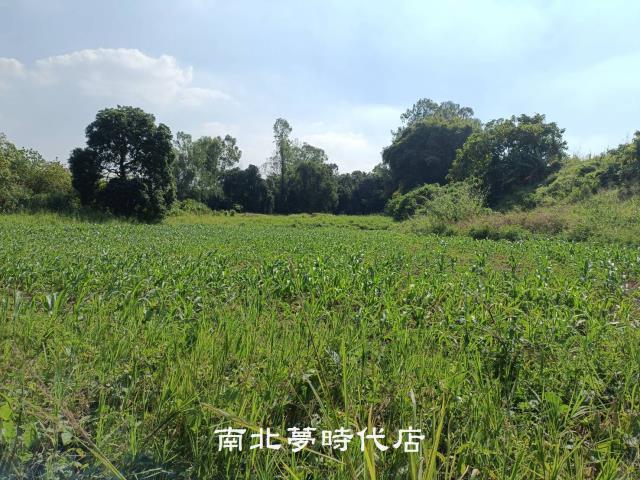 善化農地-3