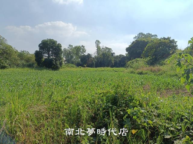 善化農地-5