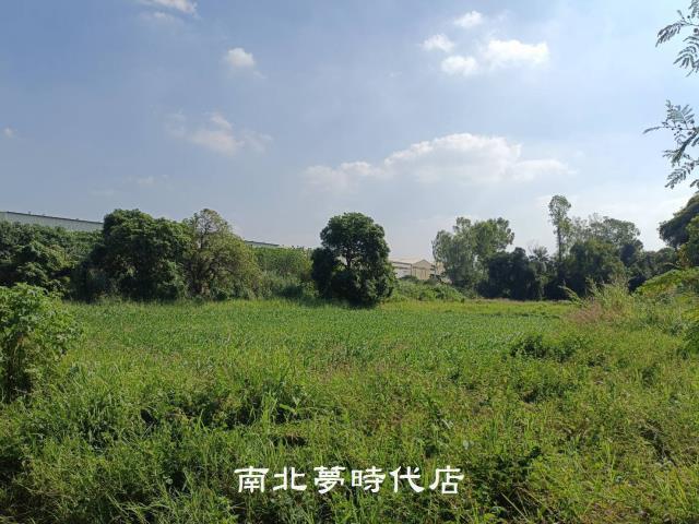 善化農地-6