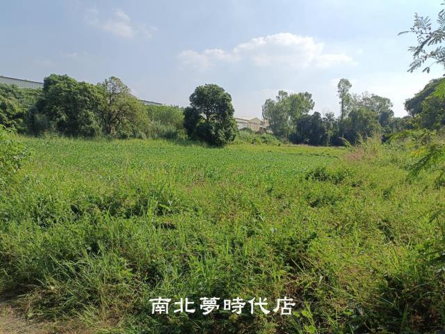 善化農地-7