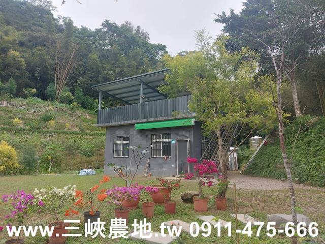 新北農地-1