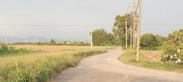 台南農地-5