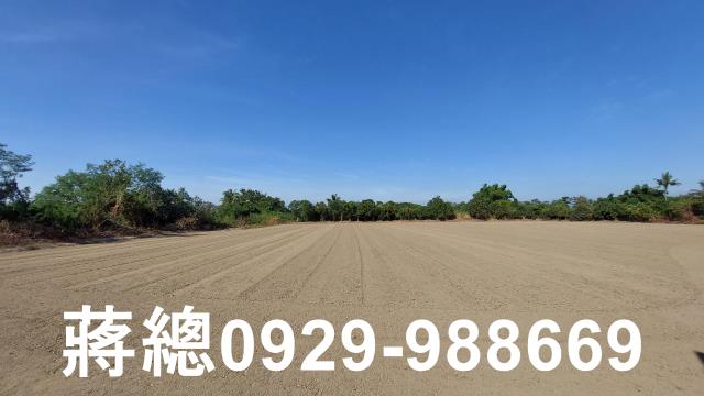 新市農地-1
