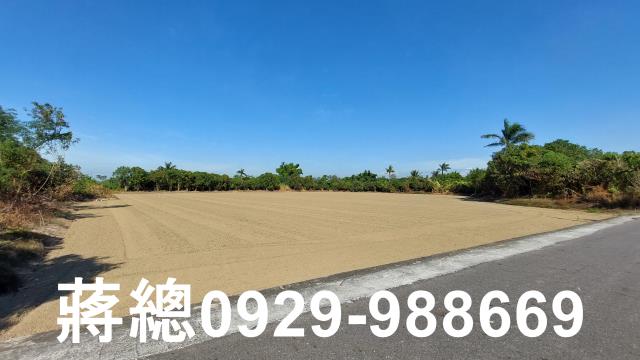 新市農地-3