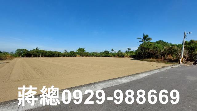 新市農地-9