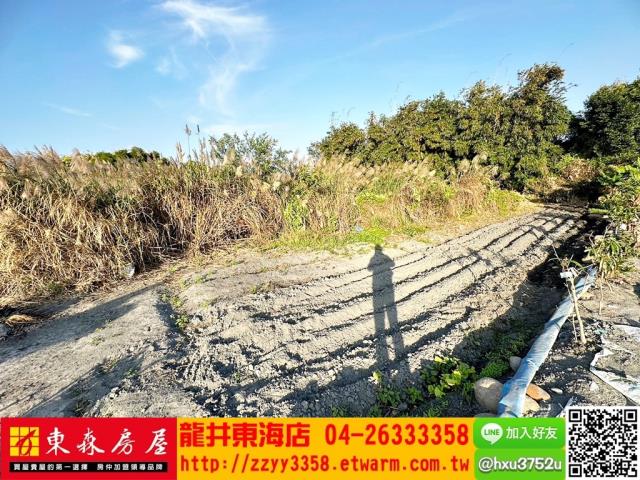 台中清水農地-3