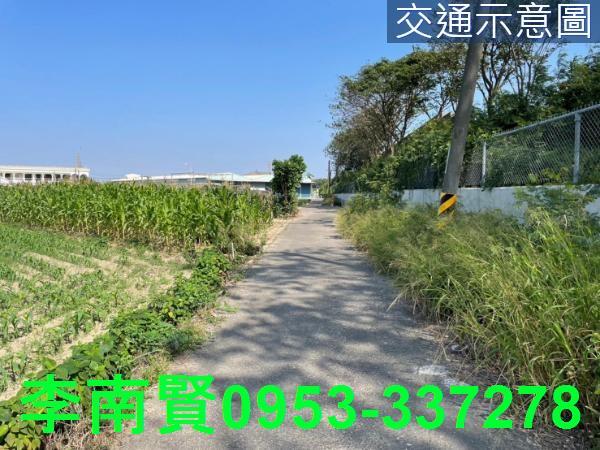 新營農地-6