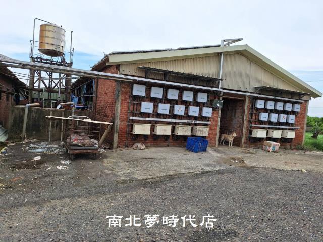 台南麻豆農地-7