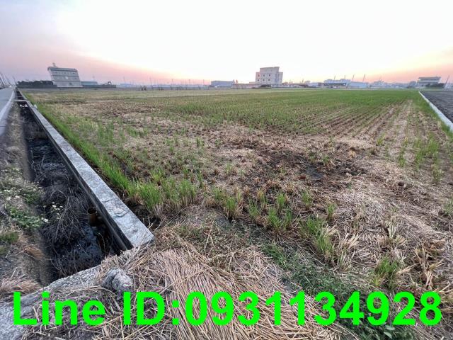 台中龍井農地-2