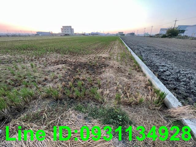 台中龍井農地-3