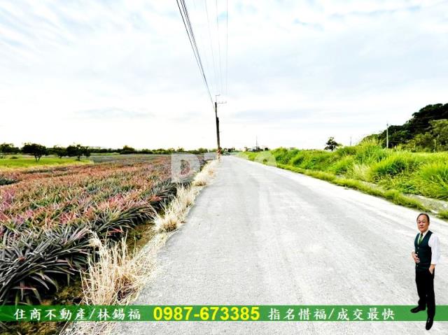 關廟農地-10