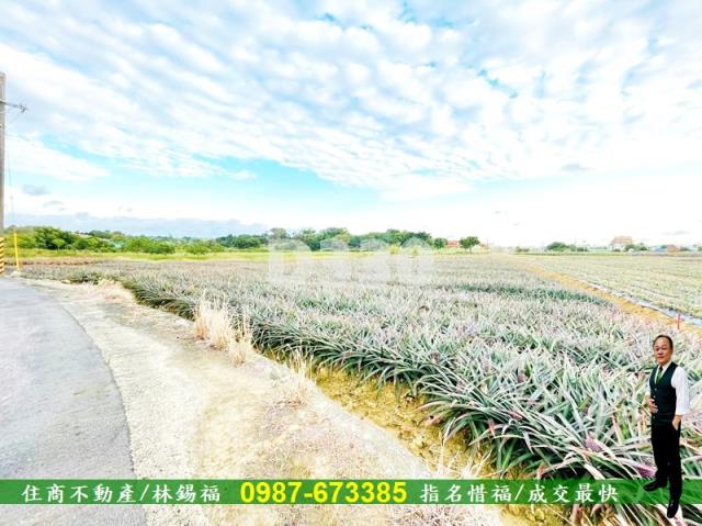 關廟農地-14