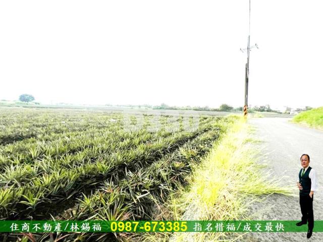 關廟農地-6