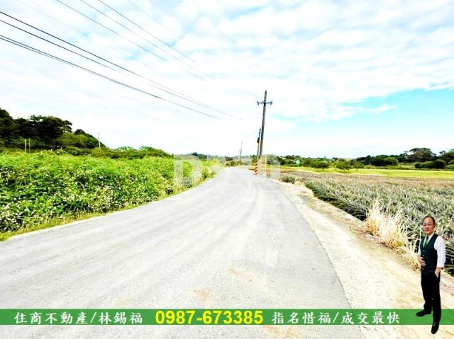 關廟農地-9