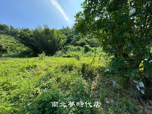 台南左鎮農地-5