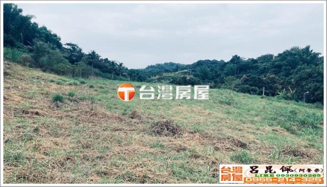 中埔農地-4