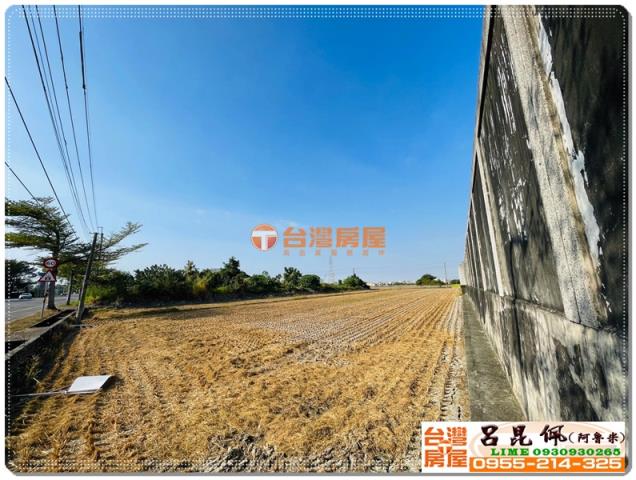 大林農地-2