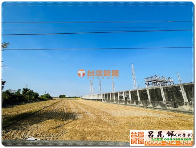 大林農地-3