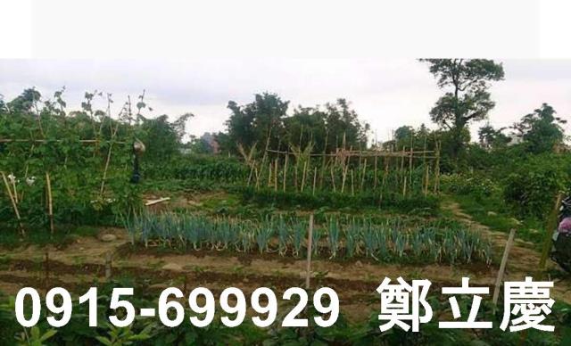 桃園平鎮農地-3