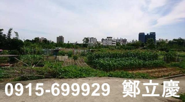桃園平鎮農地-6