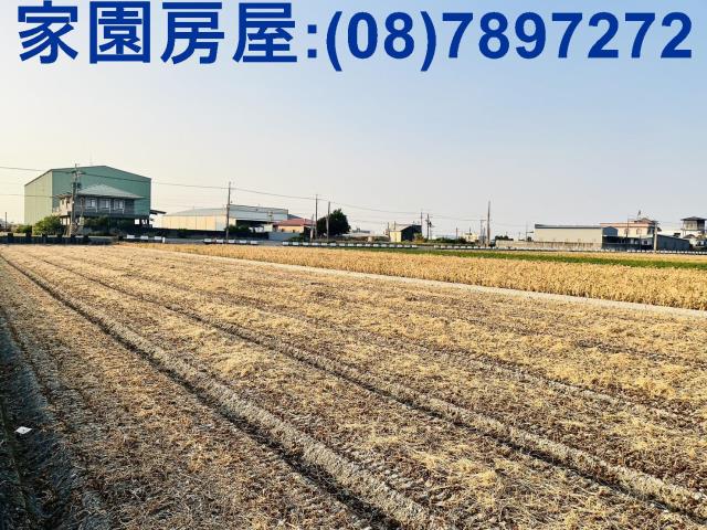 屏東萬丹農地-5