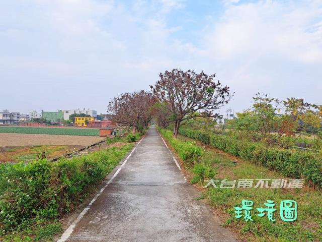 善化農地-4