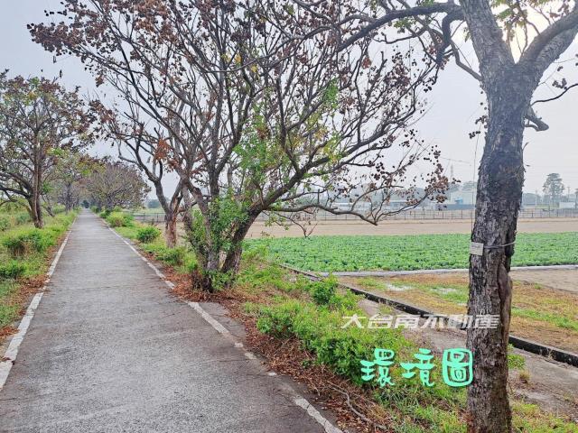善化農地-5