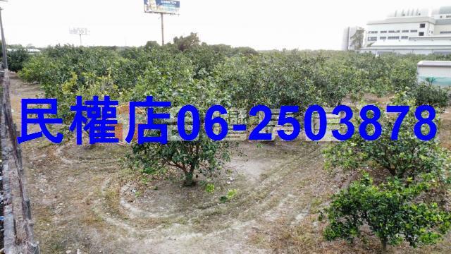 台南農地-10