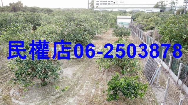台南農地-11