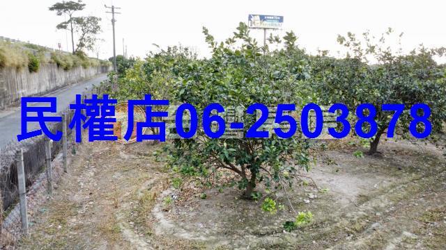 台南農地-12