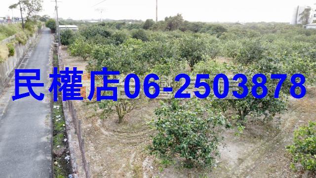 台南農地-4