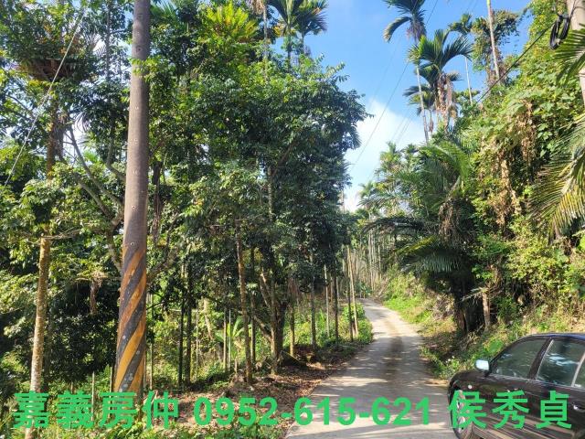 番路農地-10