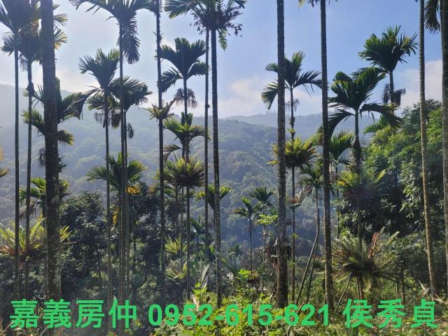 番路農地-11