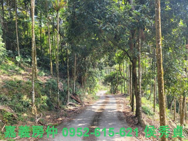 番路農地-13