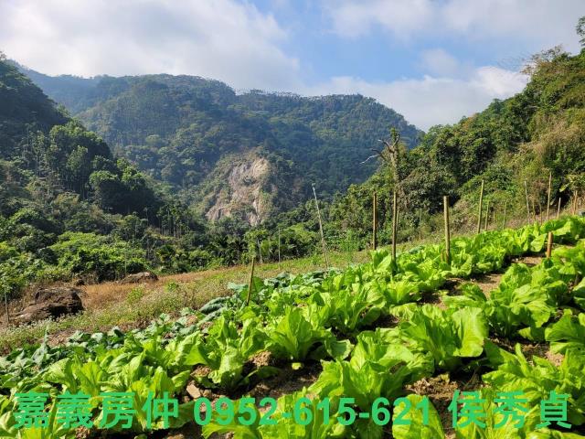 番路農地-3