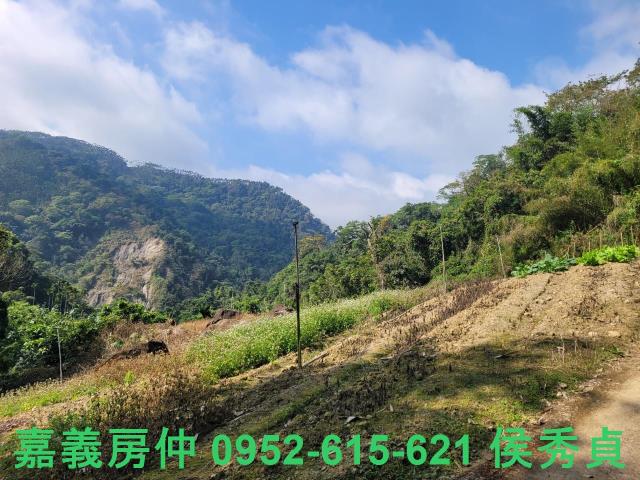 番路農地-4