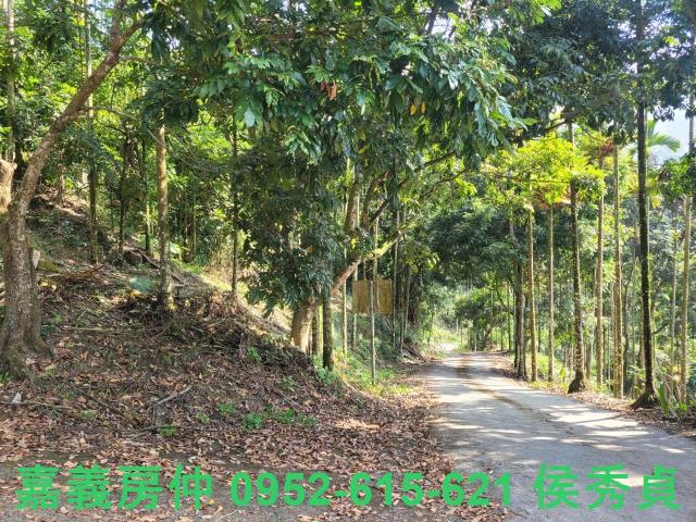 番路農地-9