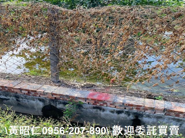 台南農地-6