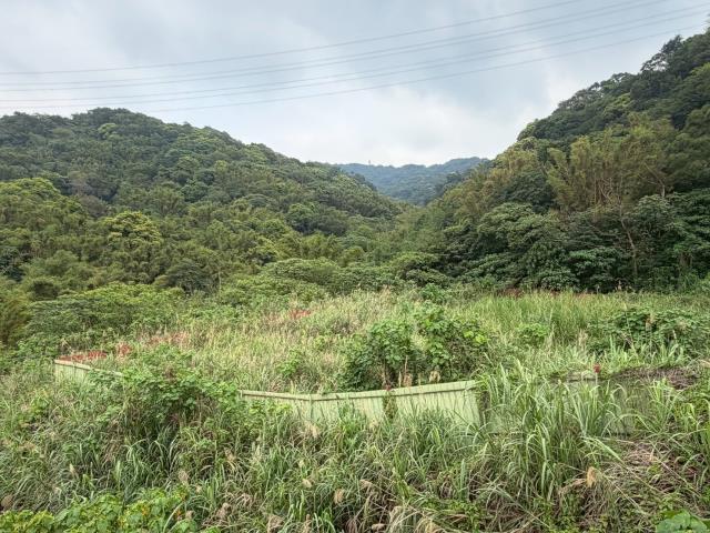 桃園龜山建地-3