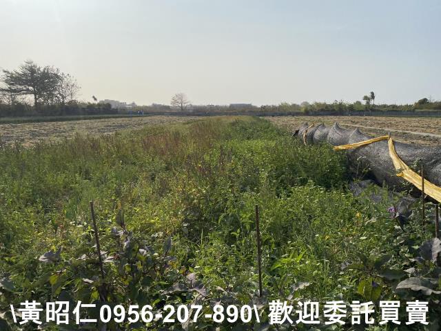 台南安南農地-1