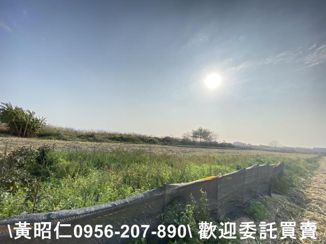 台南安南農地-5